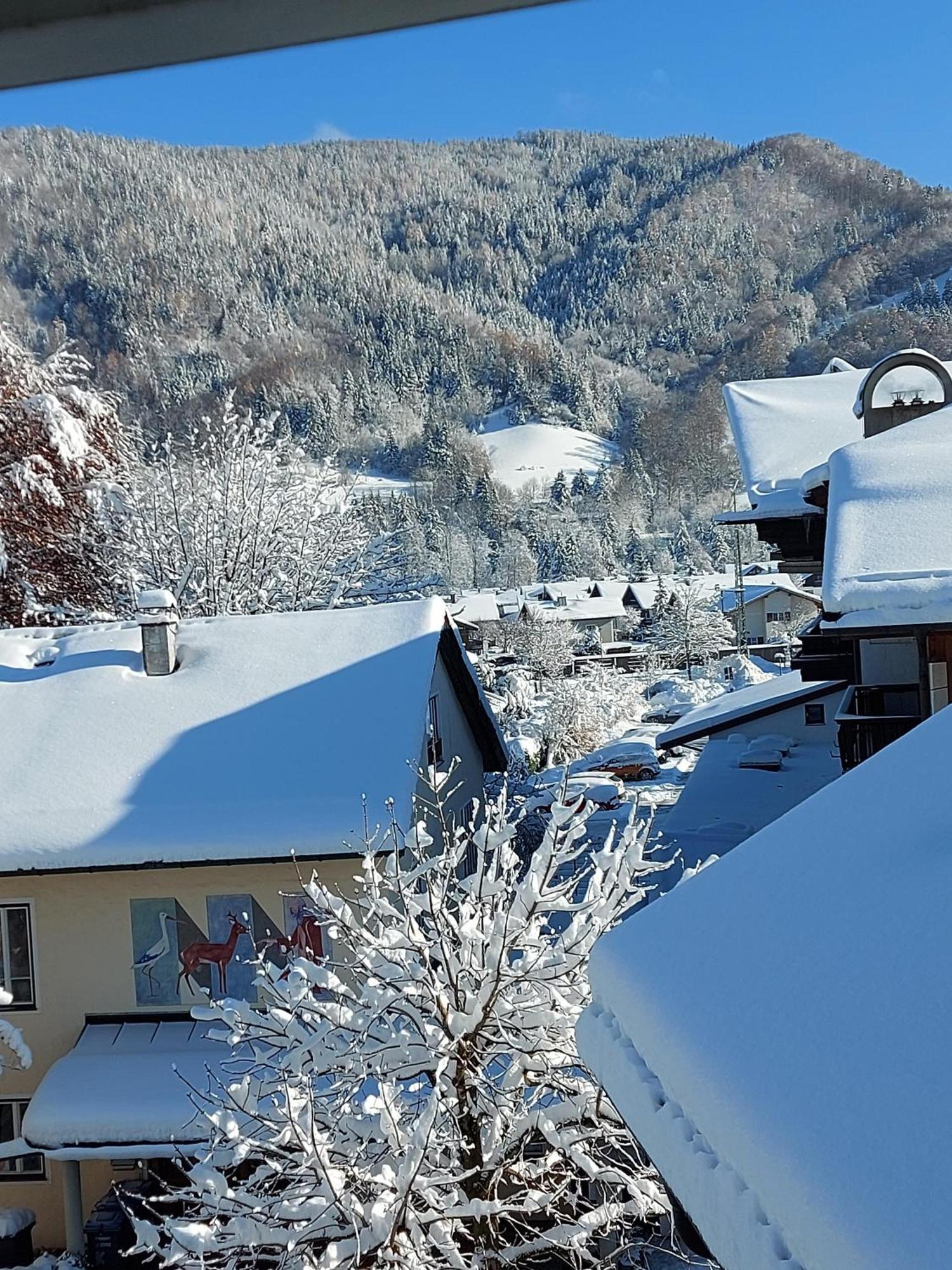 Ferienwohnungen Schneiderhaeusl Inkl. Chiemgaukarte Ruhpolding Εξωτερικό φωτογραφία